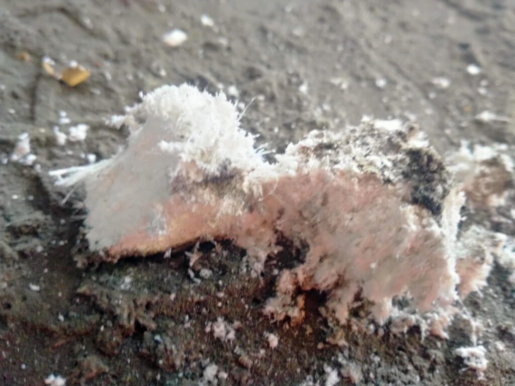 Asbestos