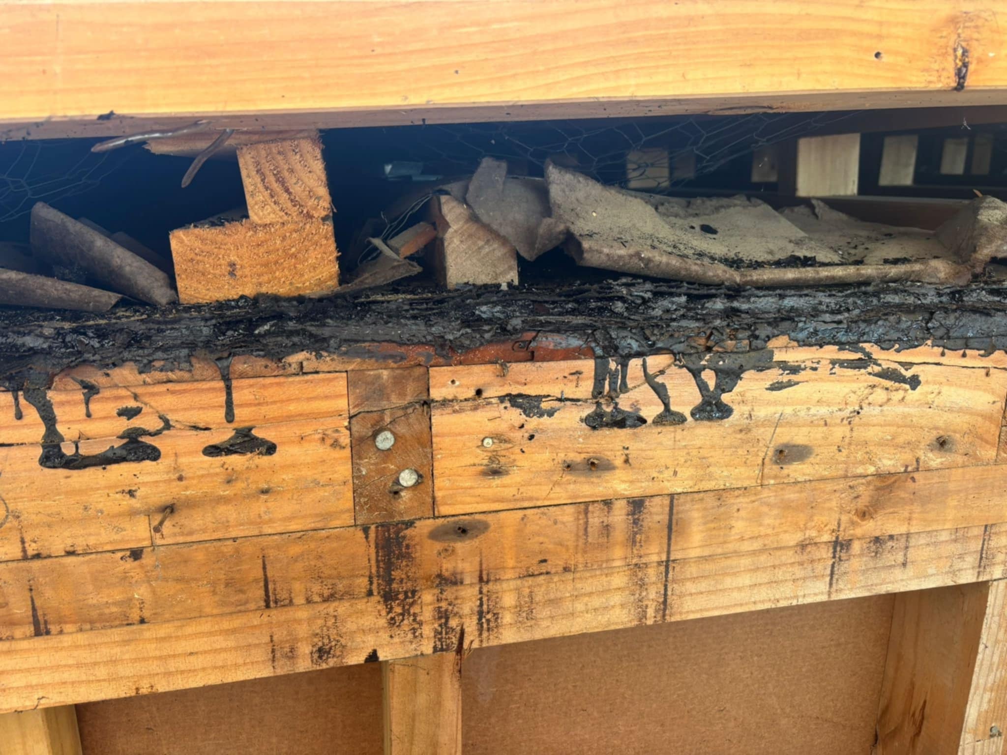Close‑up of asbestos bitumen mastic between wooden boards identified for safe removal by Hazard Pro asbestos specialists.